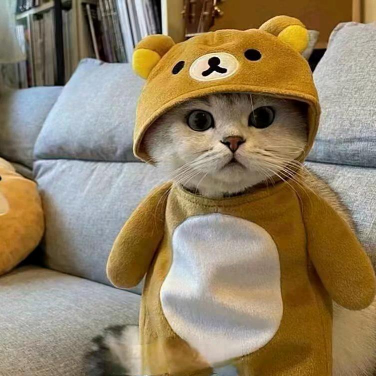 时光baby✨