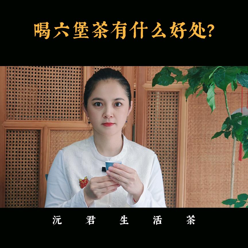 沅君六堡茶