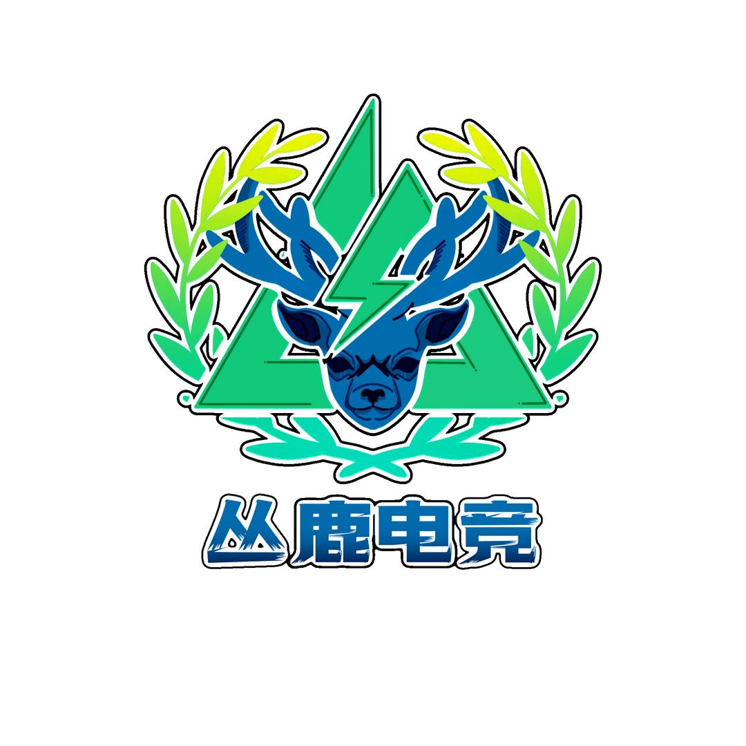 丛鹿电竞主理人