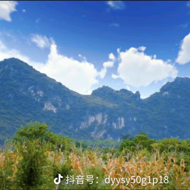 二丫头（广西来宾）