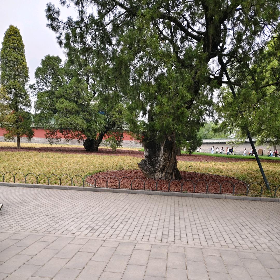 H1508124884