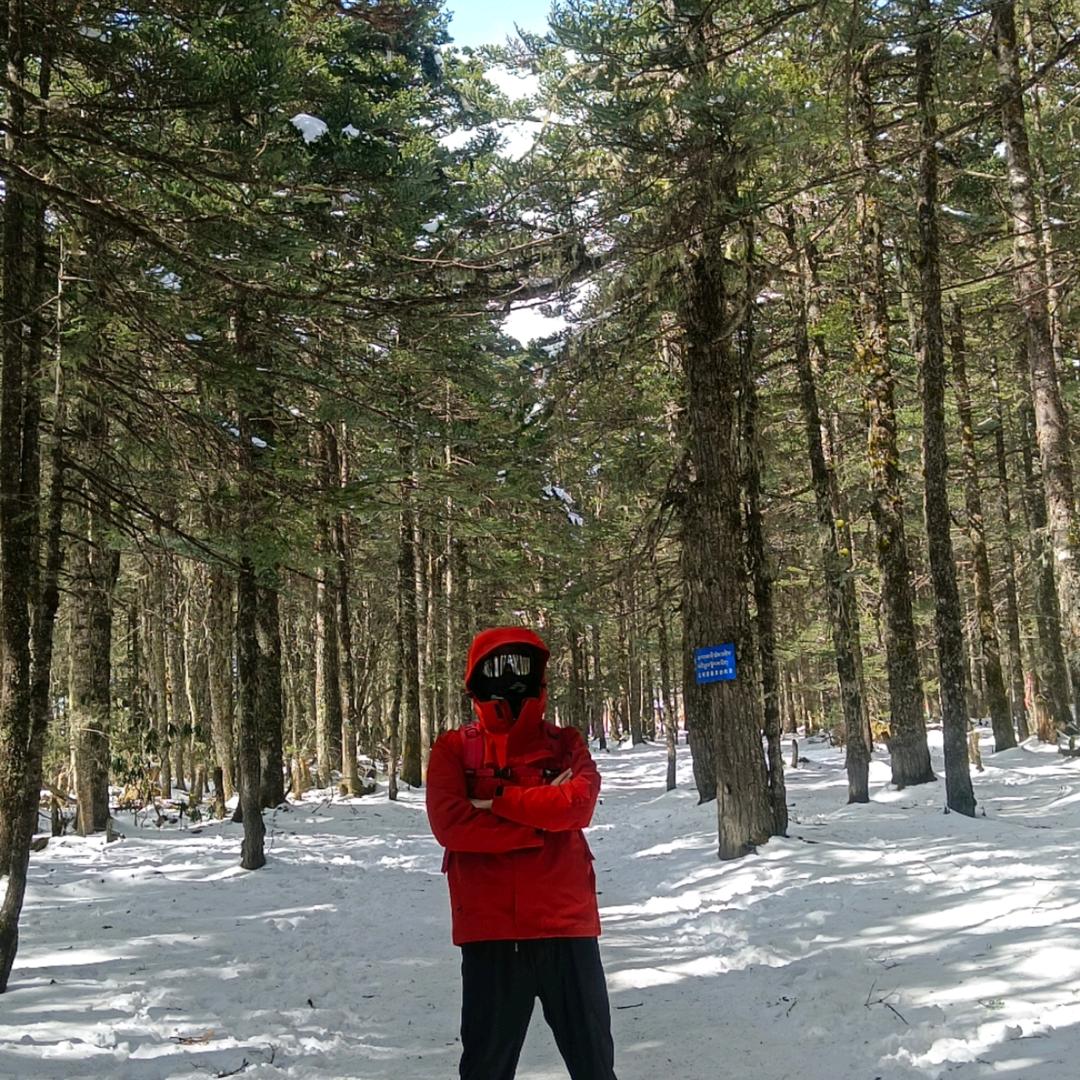 山山来迟🏔️