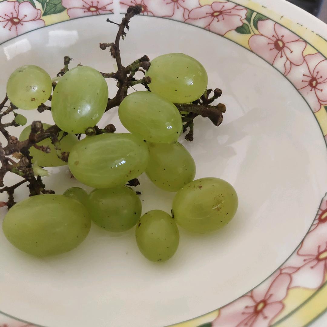 崔秀珍