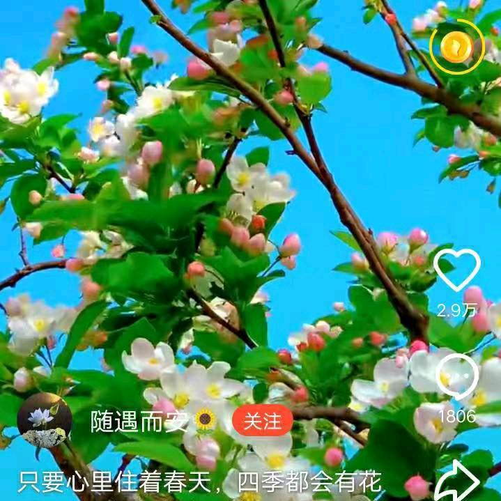 醉酒红尘