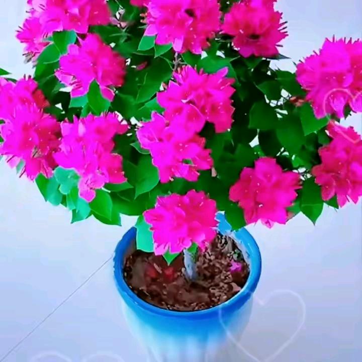 用户3740092712215雨过天晴