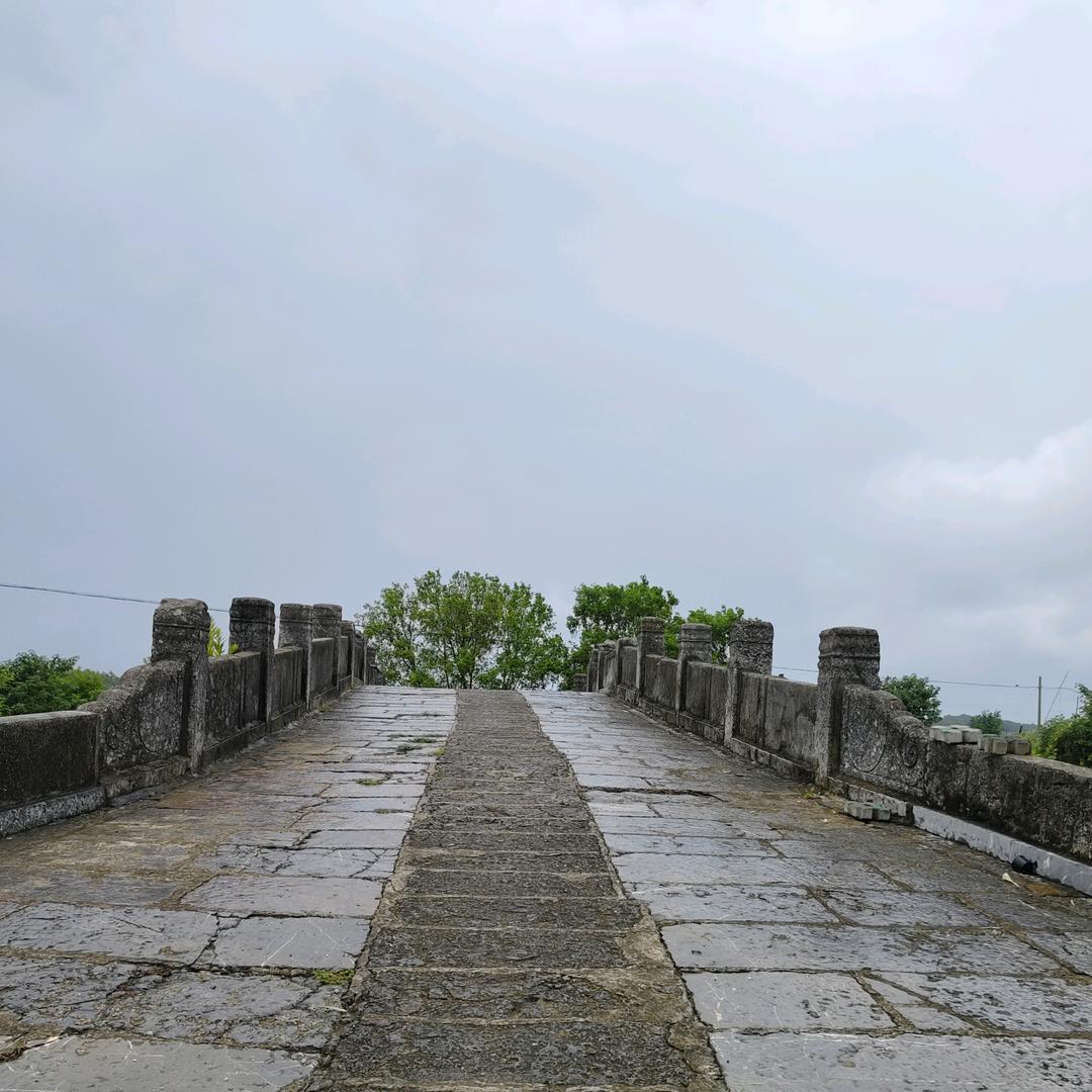 ……巨蟹是反骨