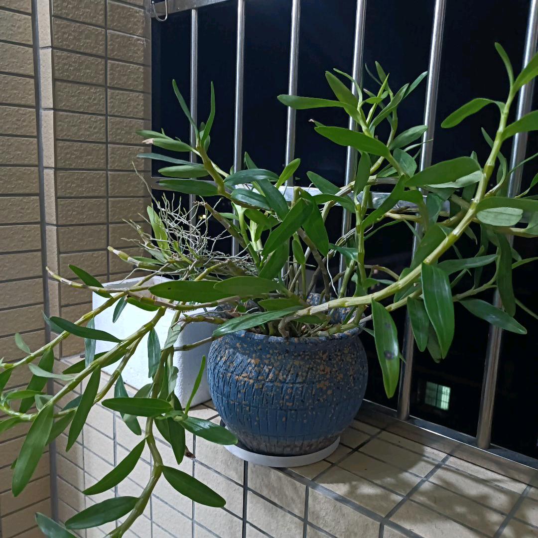 贺贺有名