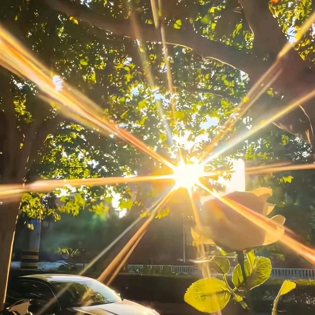 ℳ̶̶̶̶♡̶҉白白