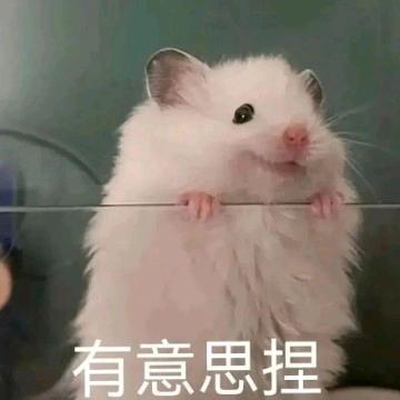允一允