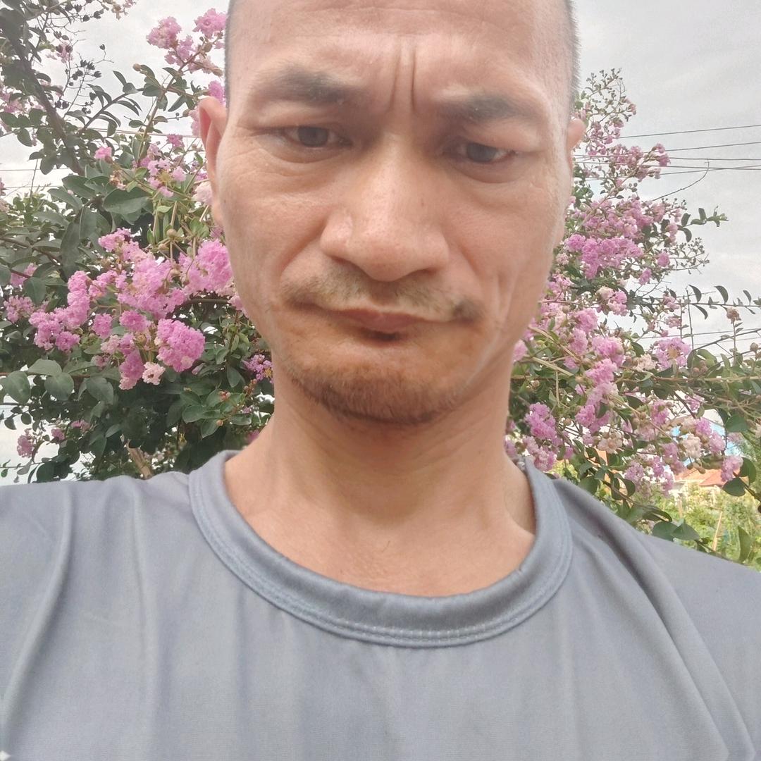 阳光照顾
