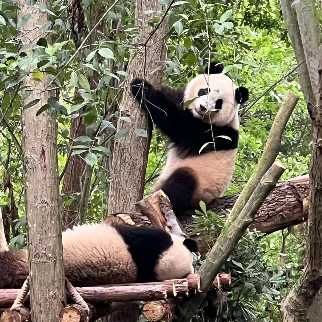 闲者