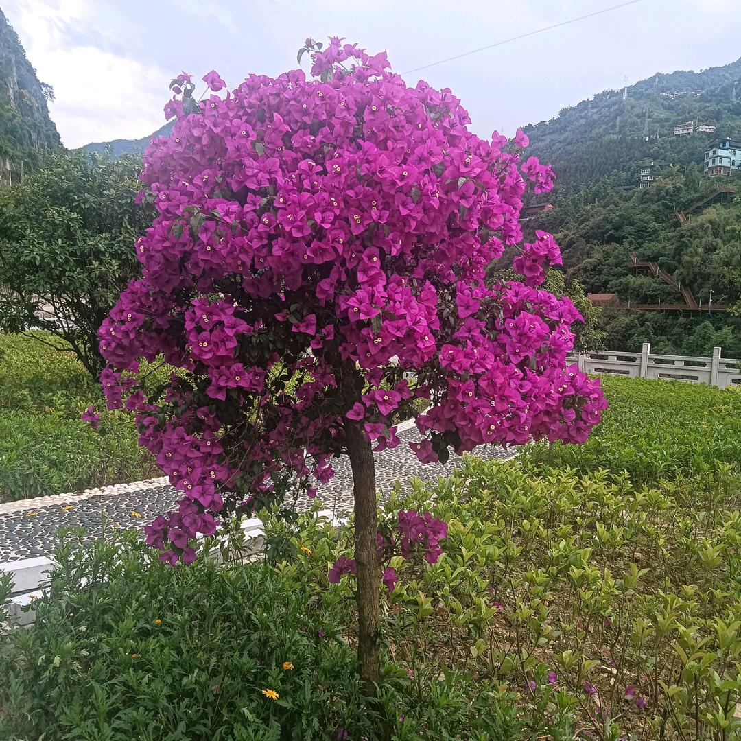 跋山涉水闯山东