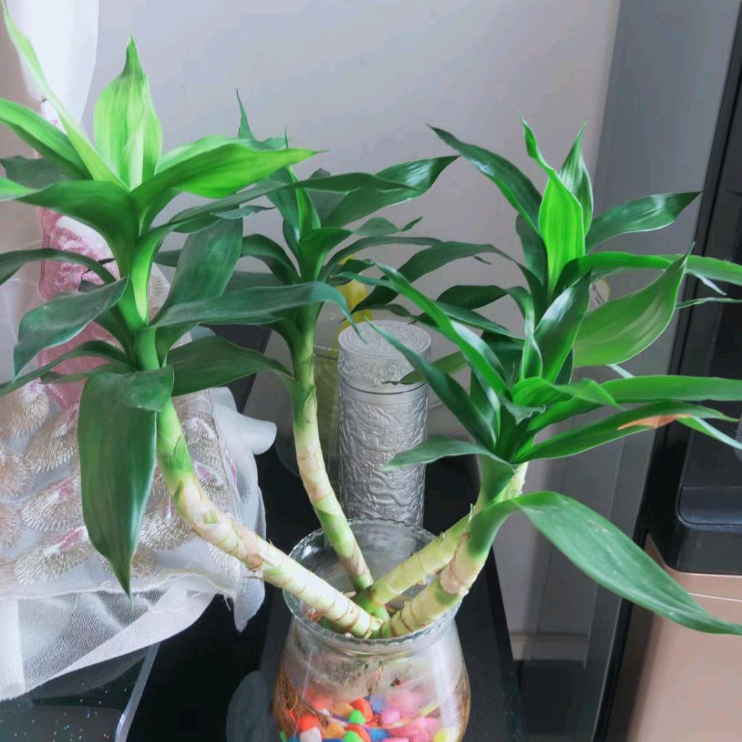 我叫李幸运！！
