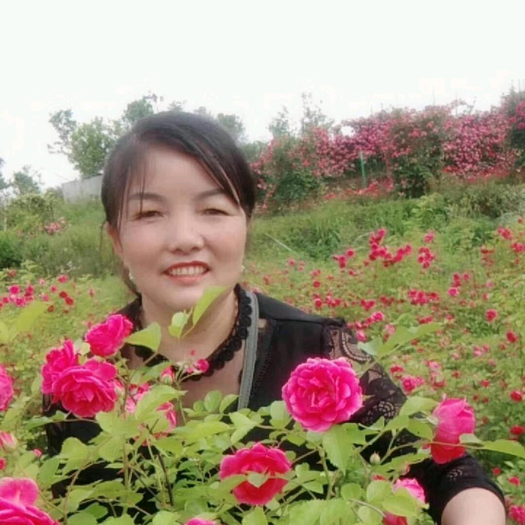 春光美