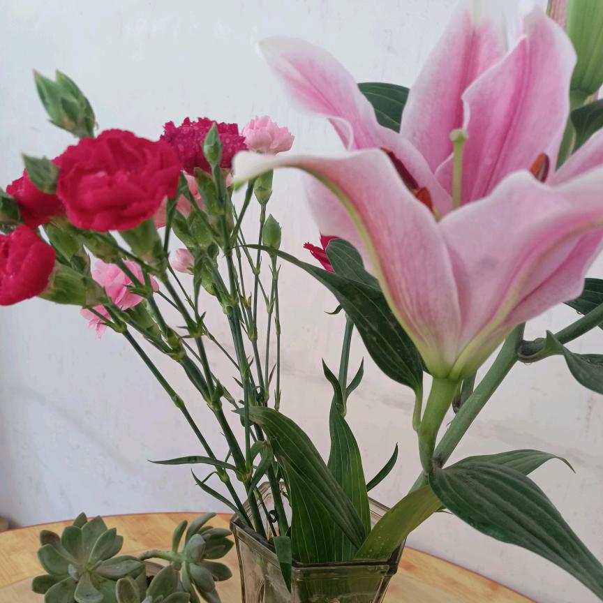 余夏微凉， JV讨厌连赞》