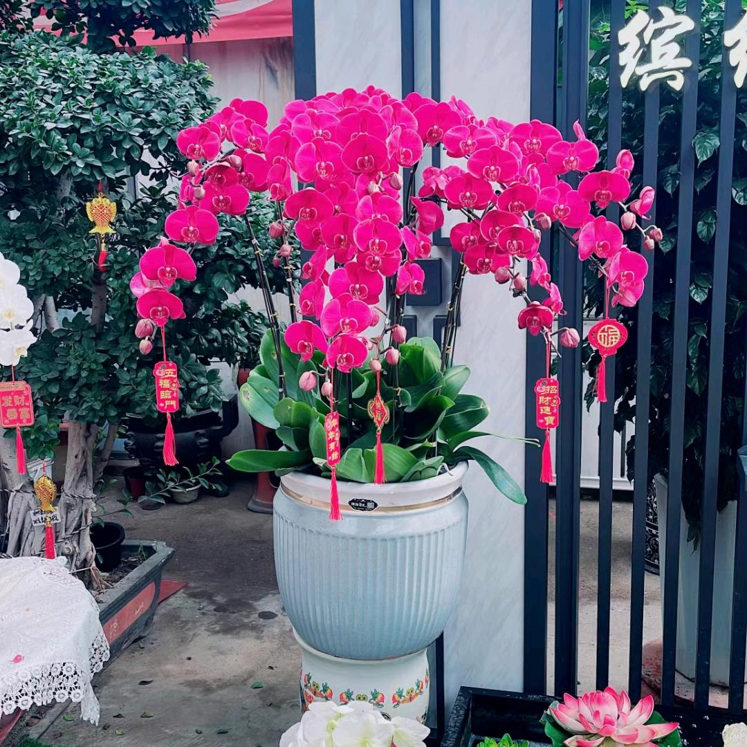 ✊格局正好🌹((❤️⥎❤️))🌹