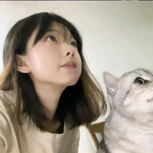 二十四时猫