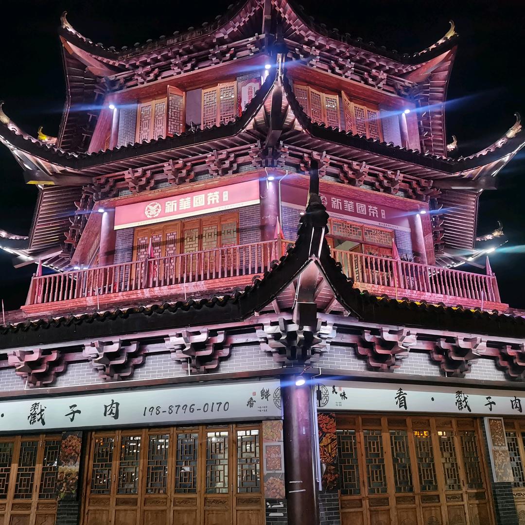 随风飞想
