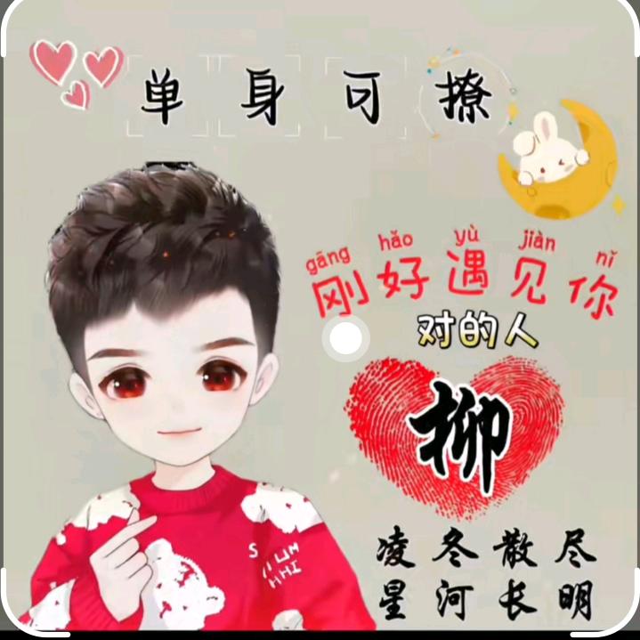 🐰柳连忘返🐰