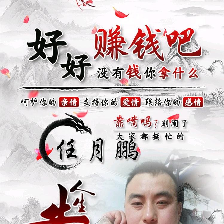 任月鹏8183