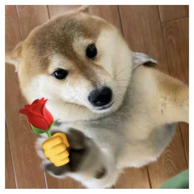 我们的生活
