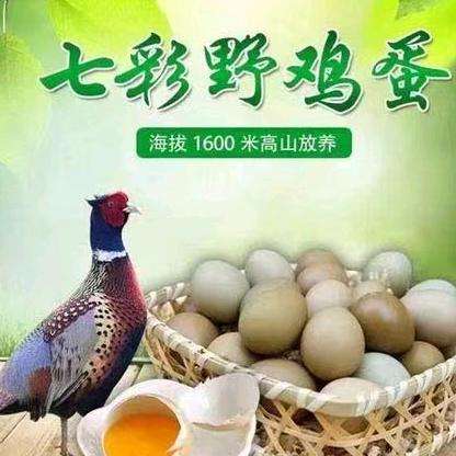 大方县益兴园农业科技有限公司