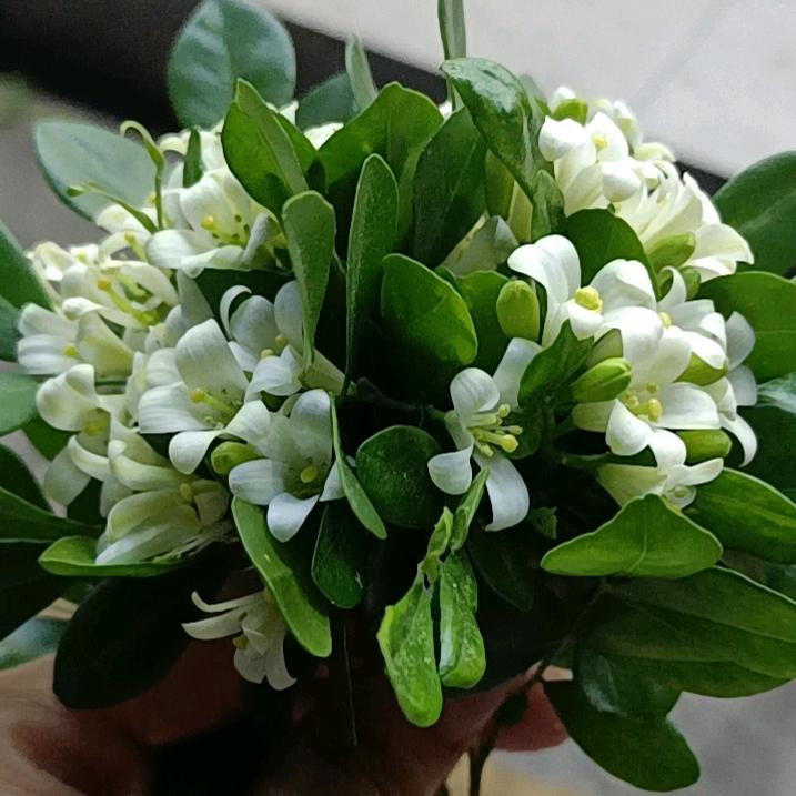 没资本就别犯贱