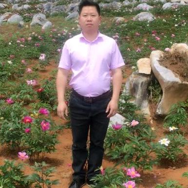 嘉禾县星宇灯饰店