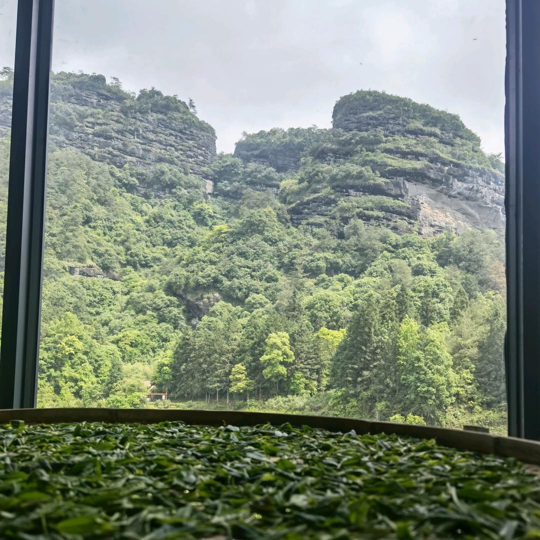 千山万品🌱