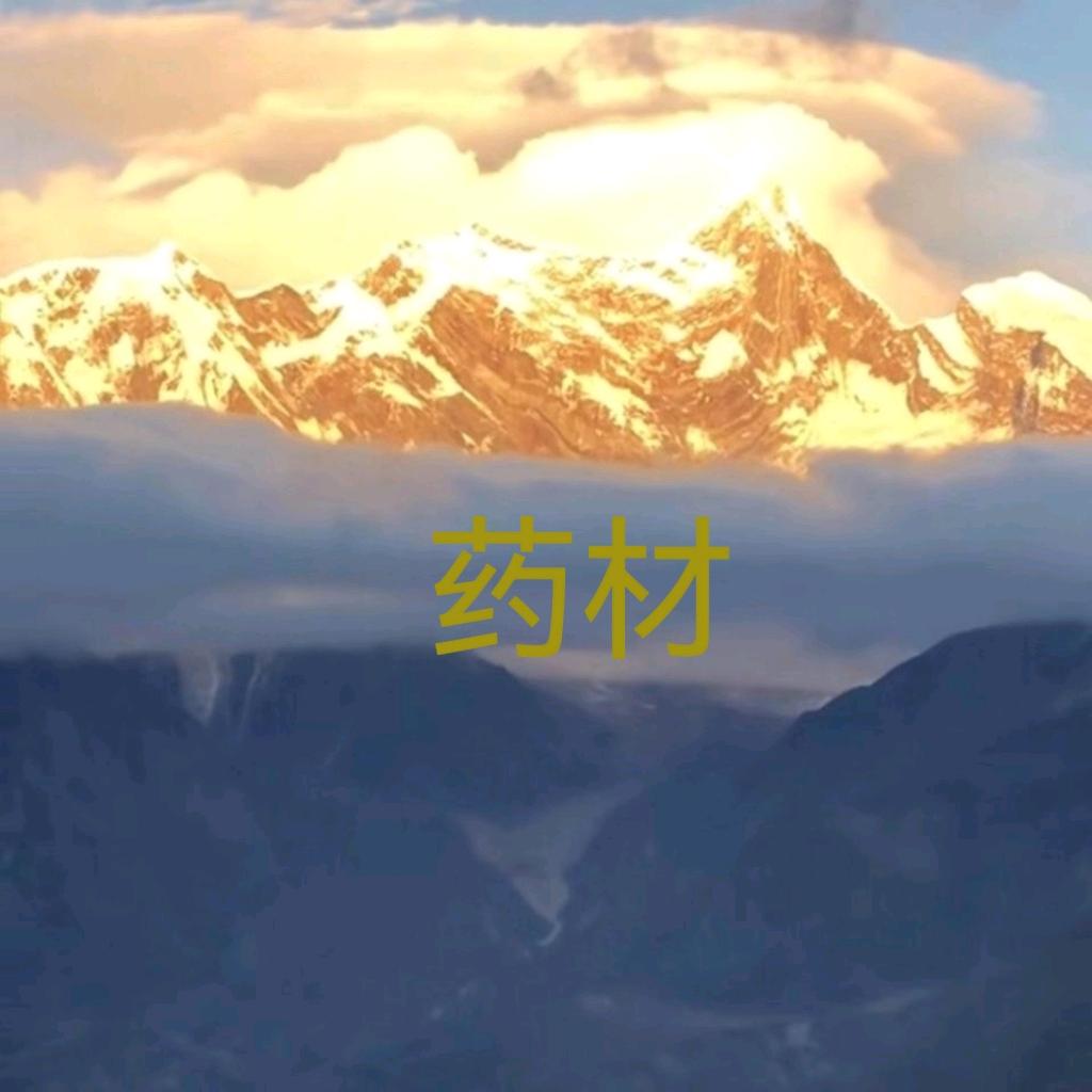 华中蛭业（陈）