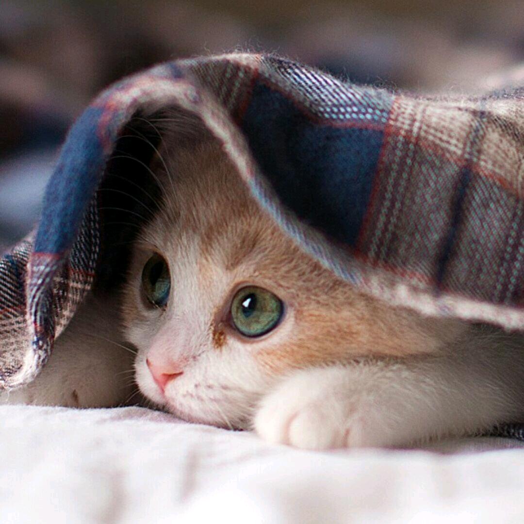 二♥︎公♥︎子