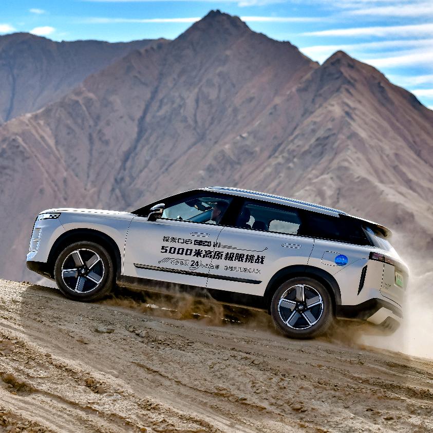 重庆嘉瑞奇诚奇瑞风云新能源-小杨