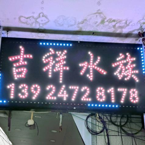 庵埠吉祥水族（请勿连赞）