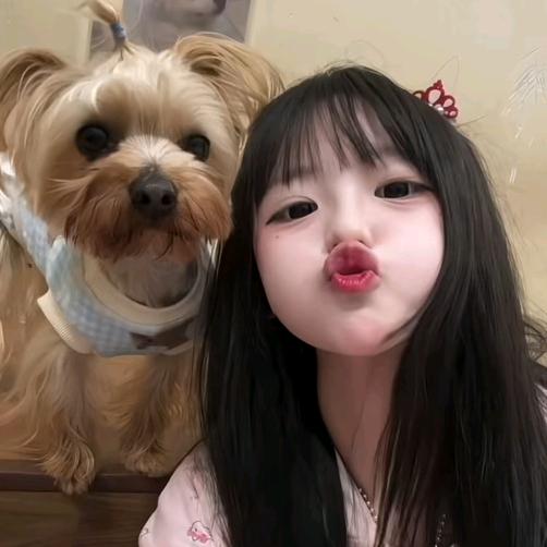 小呆呆