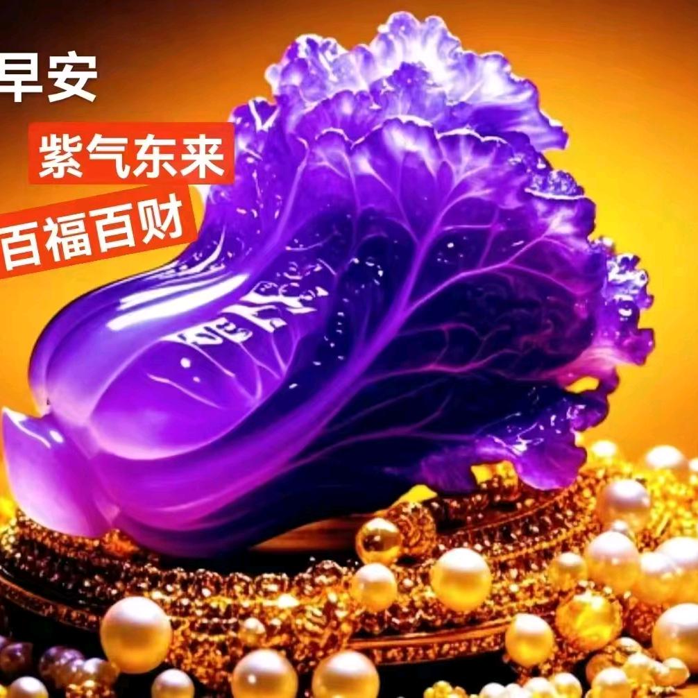 淡慢菊悠