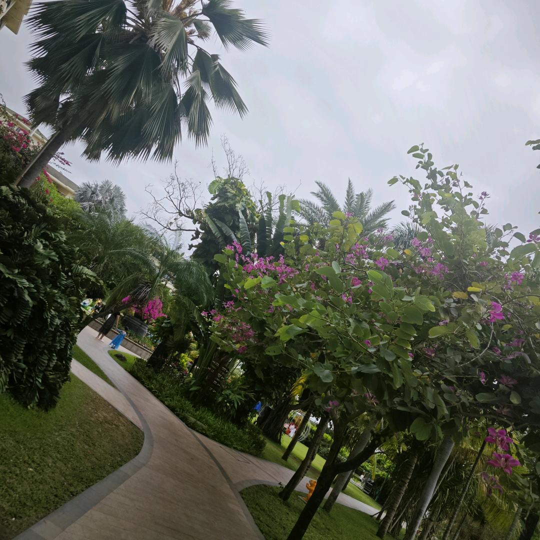 小娜闹闹