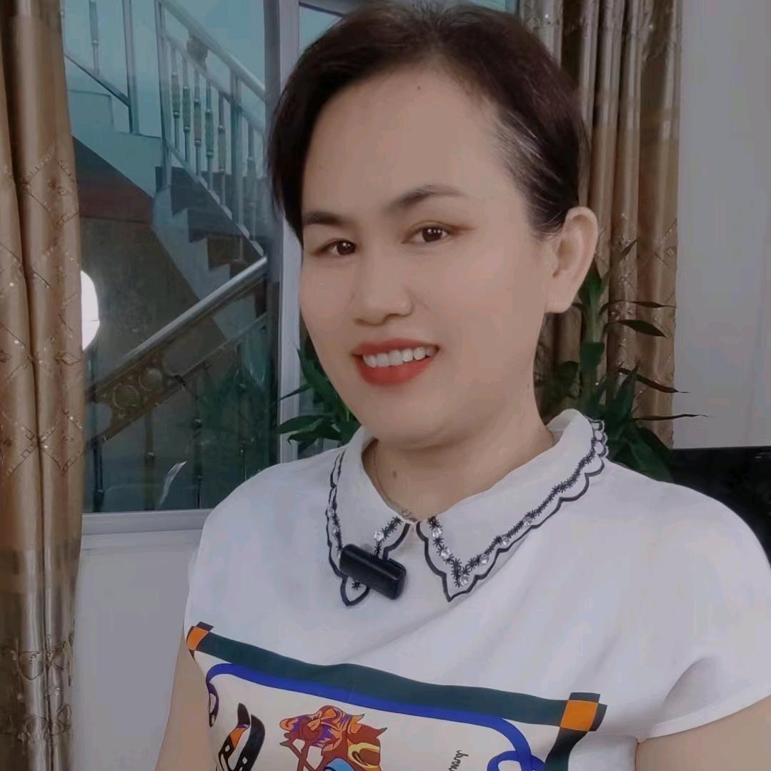 大雁在南方