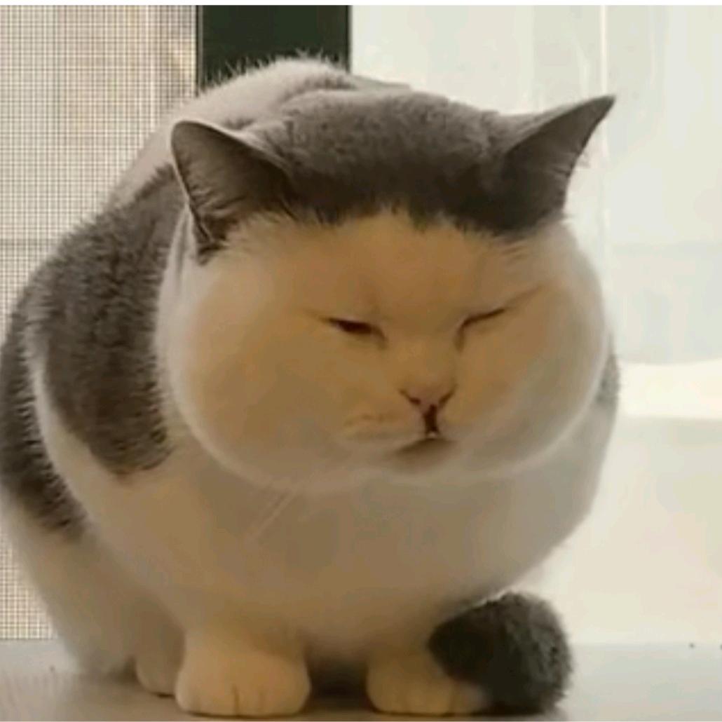 约书亚
