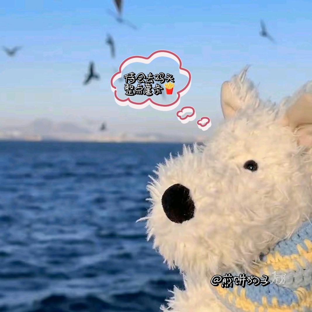 煎饼狗子𓃡