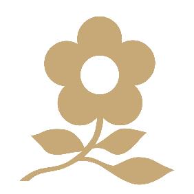梦特娇Montagut纪芝内衣专卖店