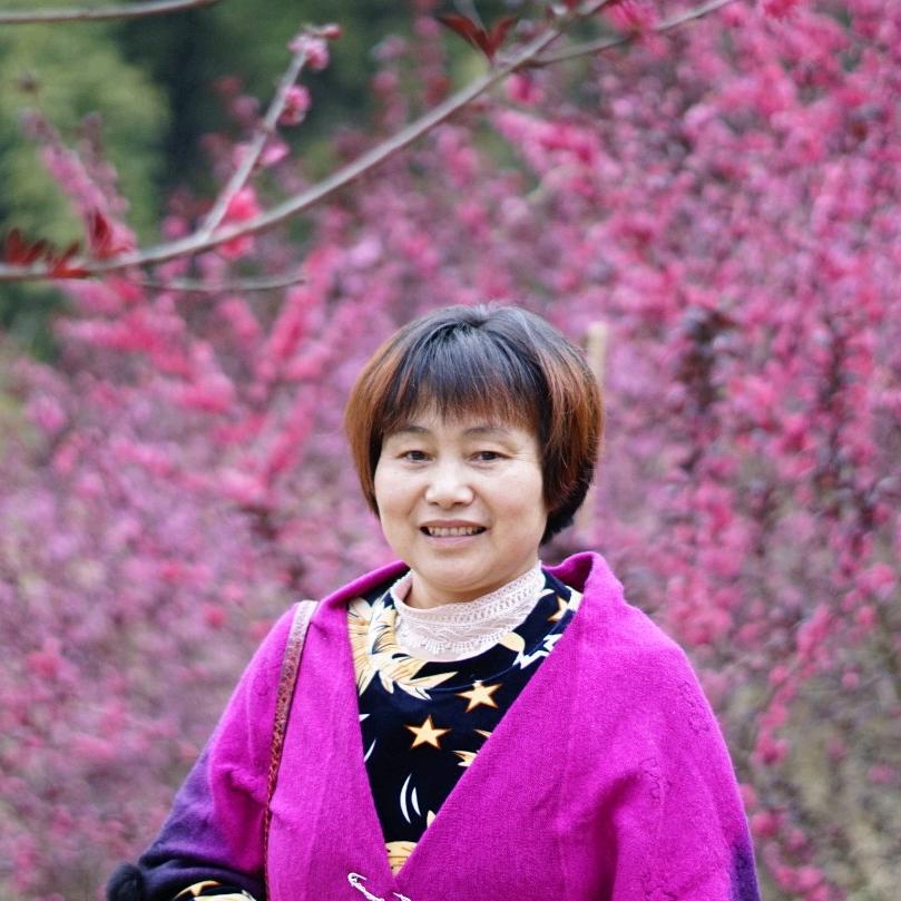 莲姐