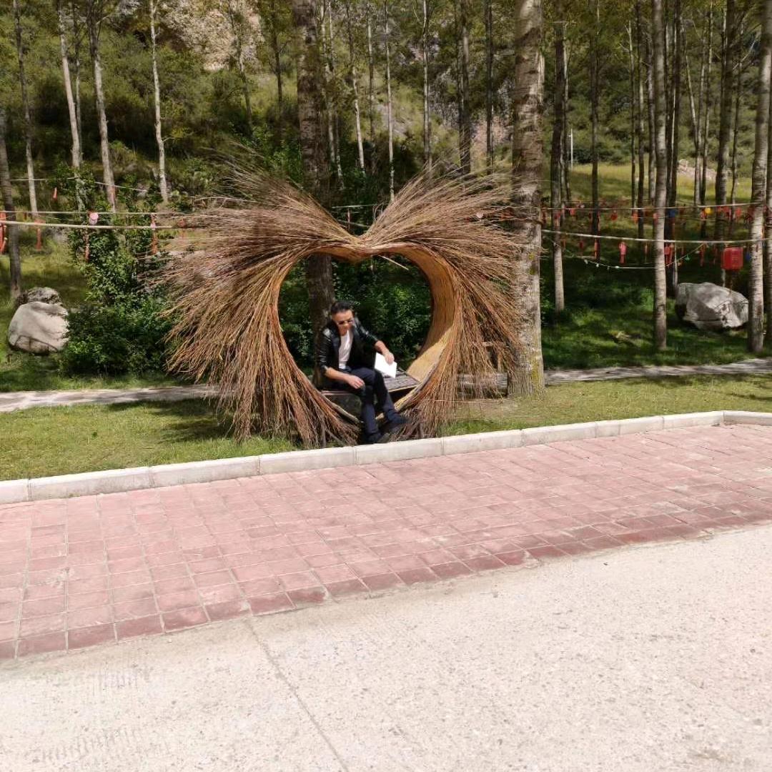 伯乐