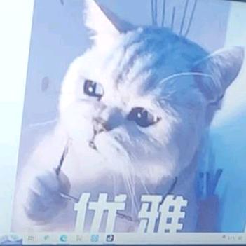 嘻嘻哈哈💜