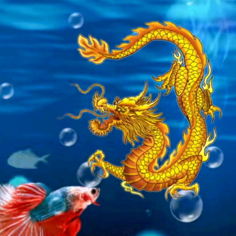 确山随缘