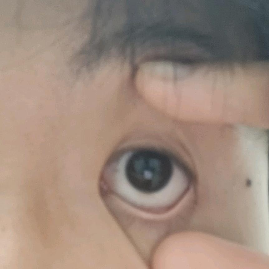 言言