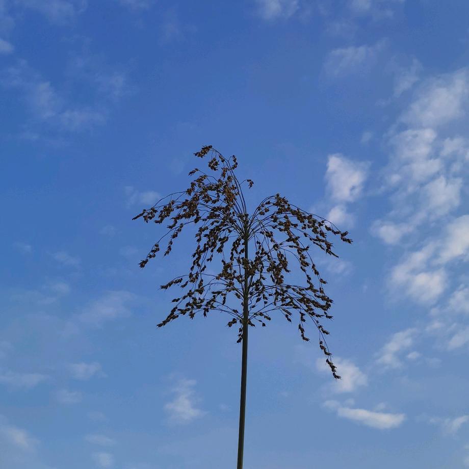 瀚 海