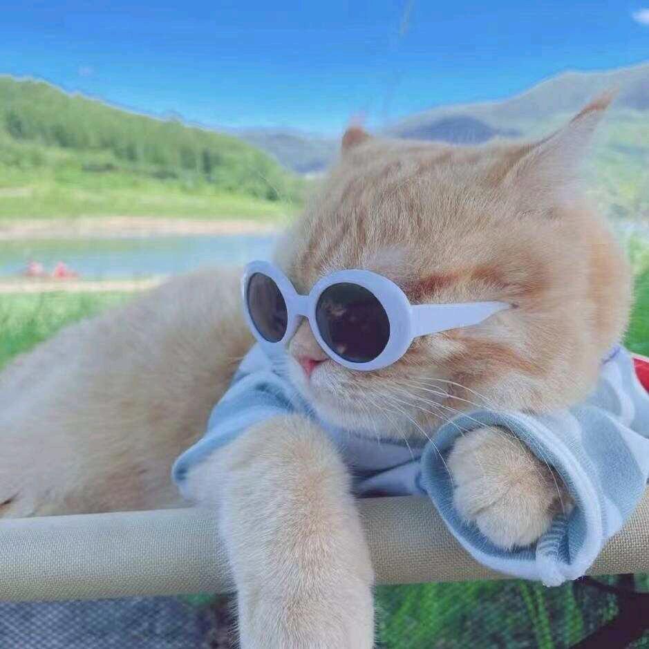 萧墨吖
