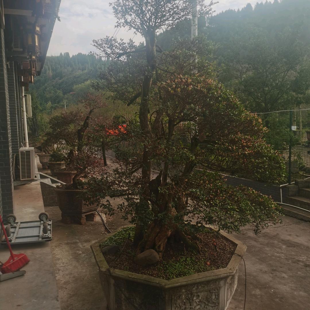 淡泊名利，岁月静好！