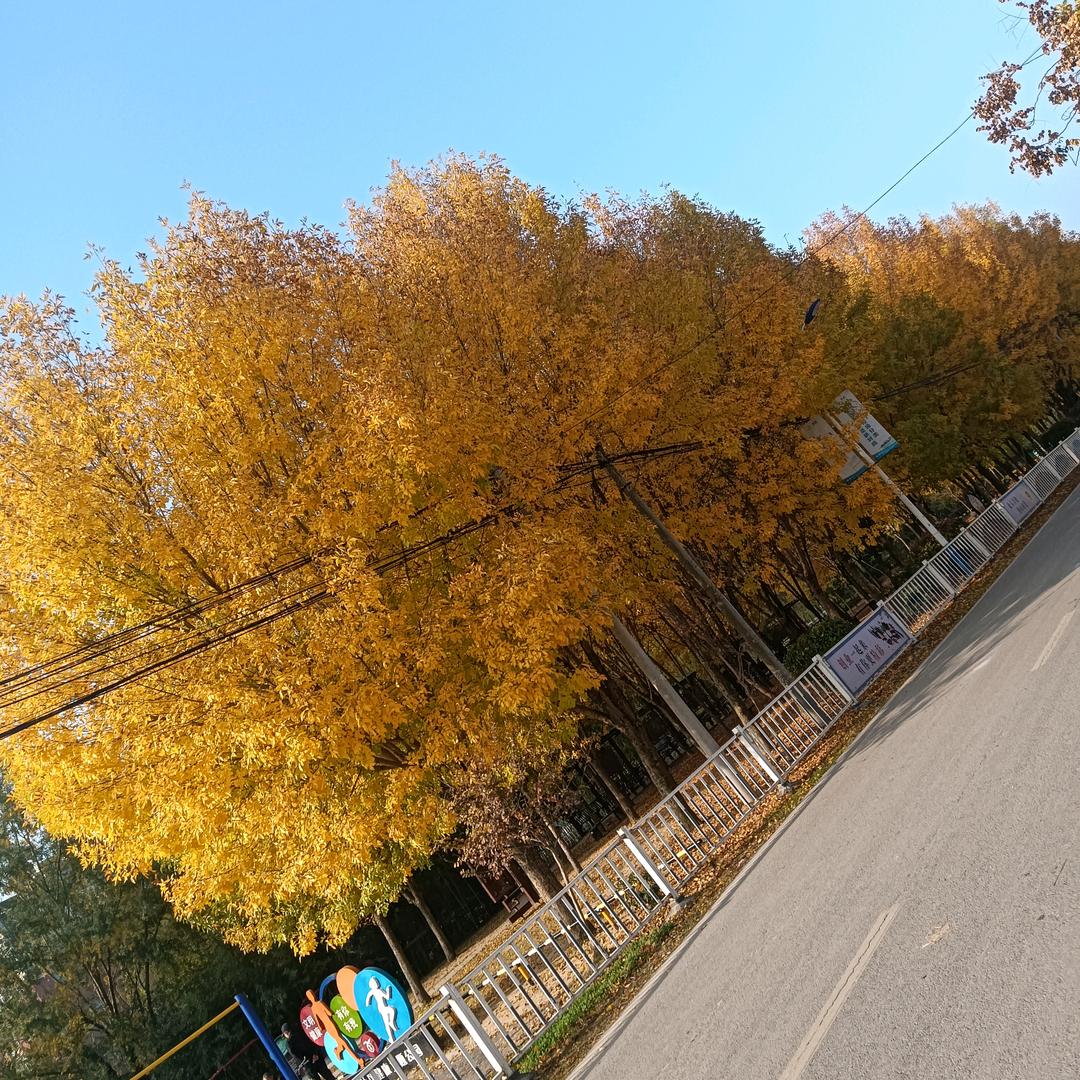 城市医生