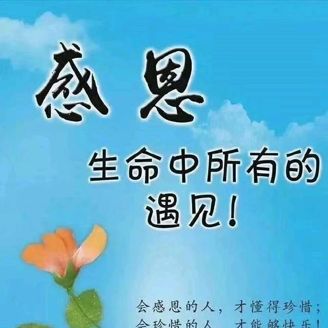 珠珠